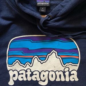Patagonia hooded sweatshirt